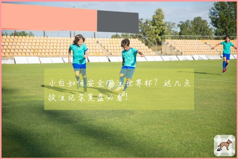 小白如何安全下注世界杯？这几点投注记录复盘必看！