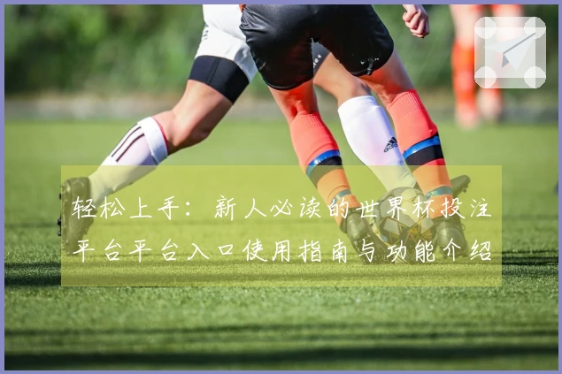 轻松上手：新人必读的世界杯投注平台平台入口使用指南与功能介绍