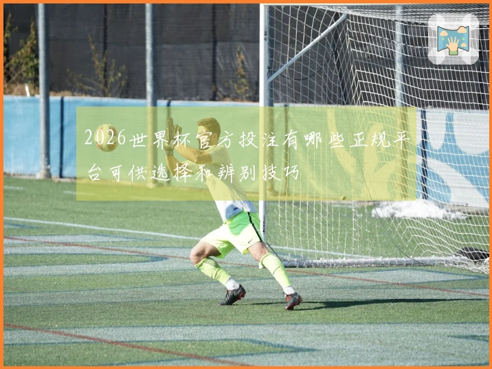 2026世界杯官方投注有哪些正规平台可供选择和辨别技巧