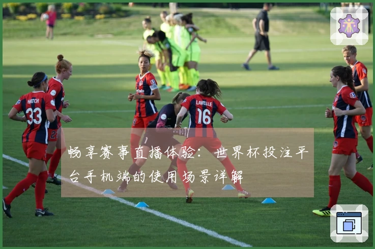 畅享赛事直播体验：世界杯投注平台手机端的使用场景详解