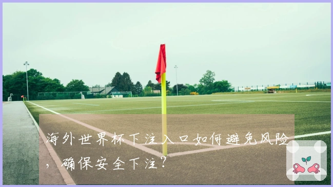 海外世界杯下注入口如何避免风险，确保安全下注？