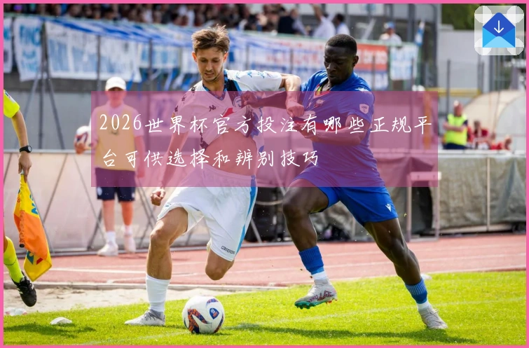 2026世界杯官方投注有哪些正规平台可供选择和辨别技巧