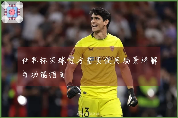 世界杯买球官方首页使用场景详解与功能指南