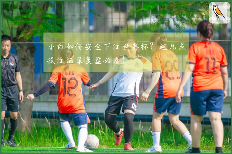 小白如何安全下注世界杯？这几点投注记录复盘必看！