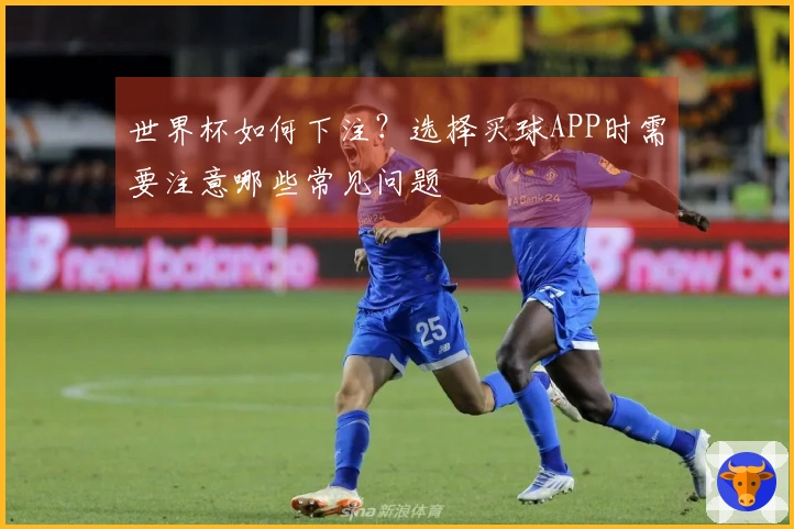 世界杯如何下注？选择买球APP时需要注意哪些常见问题
