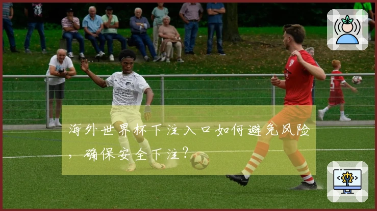 海外世界杯下注入口如何避免风险，确保安全下注？