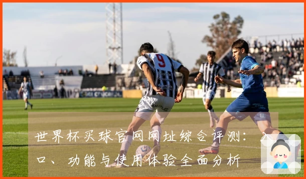世界杯买球官网网址综合评测：入口、功能与使用体验全面分析