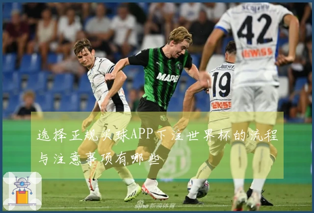 选择正规买球APP下注世界杯的流程与注意事项有哪些