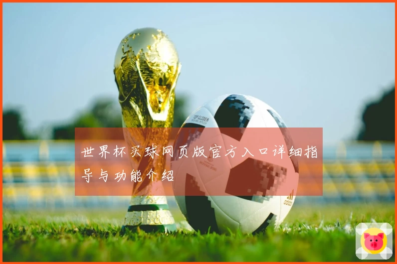 世界杯买球网页版官方入口详细指导与功能介绍