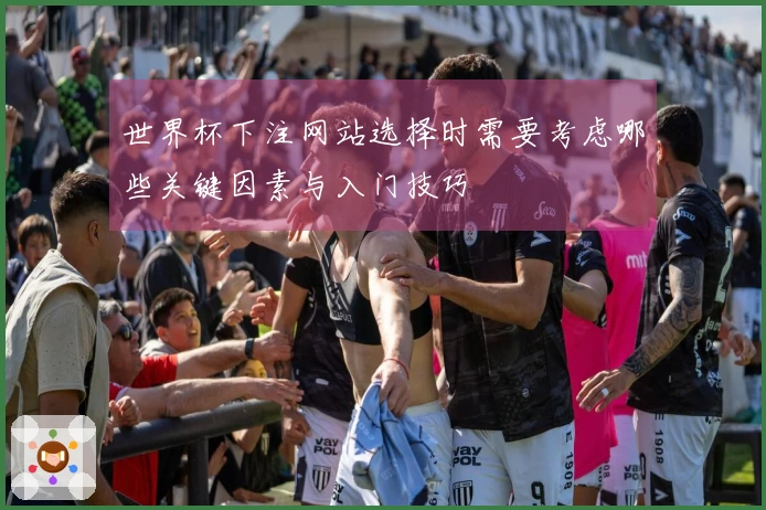 世界杯下注网站选择时需要考虑哪些关键因素与入门技巧