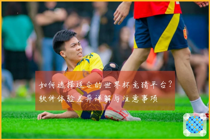 如何选择适合的世界杯竞猜平台？软件体验差异详解与注意事项