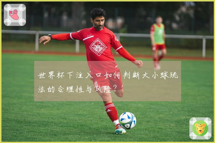 世界杯下注入口如何判断大小球玩法的合理性与风险？