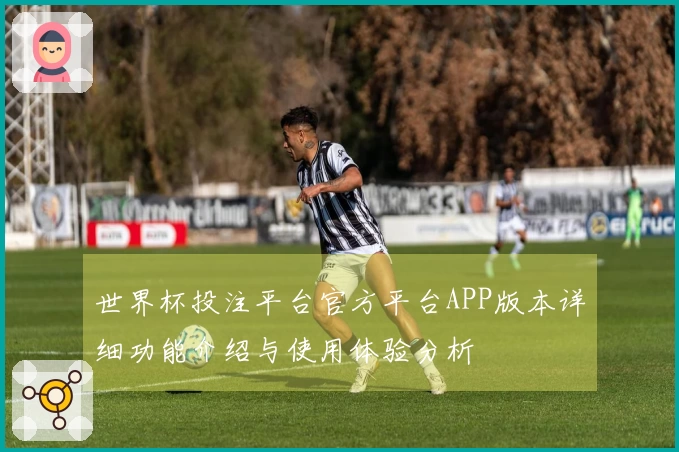 世界杯投注平台官方平台APP版本详细功能介绍与使用体验分析