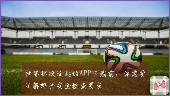世界杯投注站的APP下载前，你需要了解哪些安全检查要点