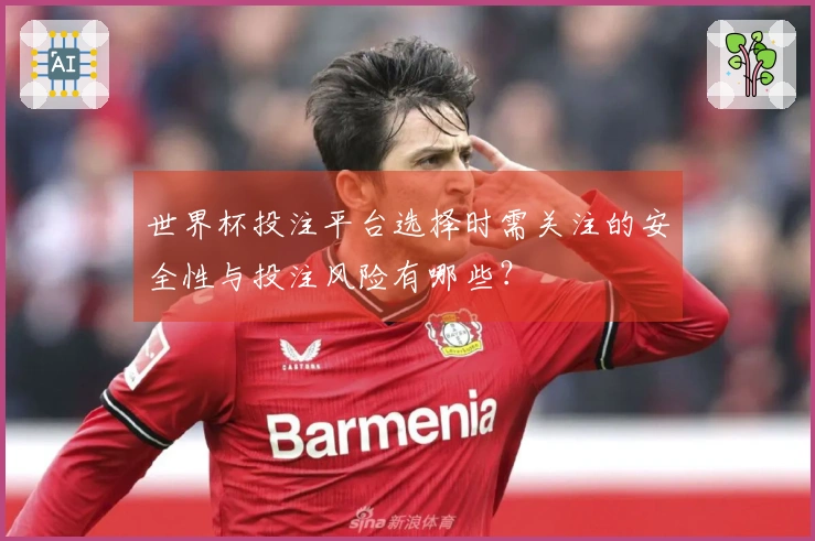 世界杯投注平台选择时需关注的安全性与投注风险有哪些？