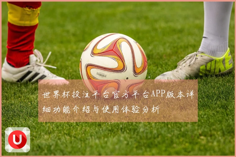 世界杯投注平台官方平台APP版本详细功能介绍与使用体验分析