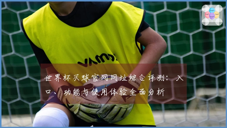 世界杯买球官网网址综合评测:入口、功能与使用体验全面分析