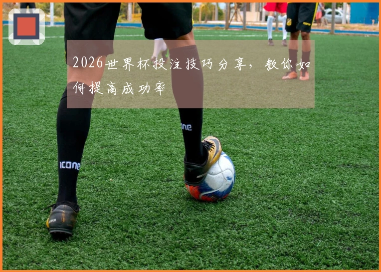2026世界杯投注技巧分享，教你如何提高成功率