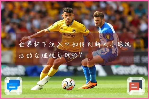 世界杯下注入口如何判断大小球玩法的合理性与风险？