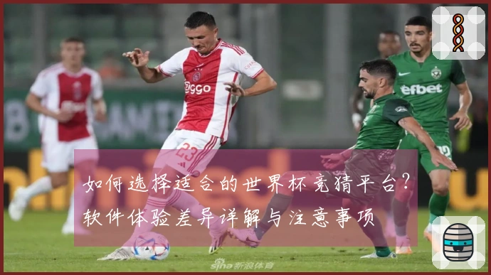 如何选择适合的世界杯竞猜平台？软件体验差异详解与注意事项