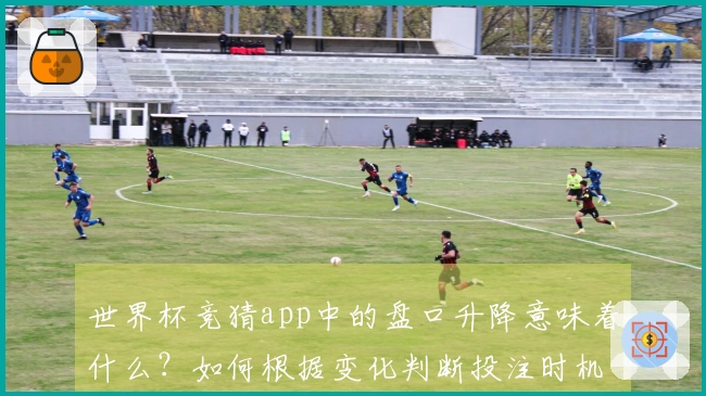 世界杯竞猜app中的盘口升降意味着什么？如何根据变化判断投注时机？