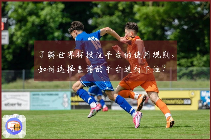 了解世界杯投注平台的使用规则，如何选择靠谱的平台进行下注？