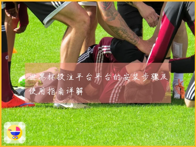 世界杯投注平台平台的安装步骤及使用指南详解